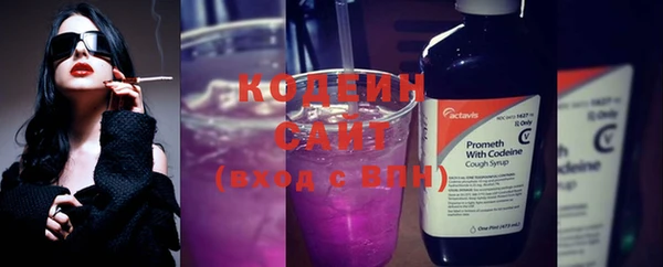 гашик Бородино
