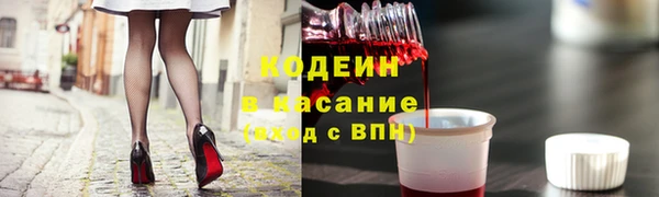 гашик Бородино
