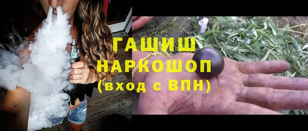 гашик Бородино